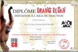 Le diplôme officiel d'initiation au pilotage d'une aile de traction