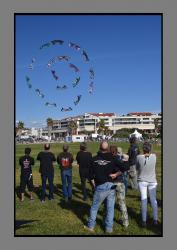 FdV 2017  (45)