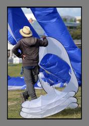 FdV 2017  (369)