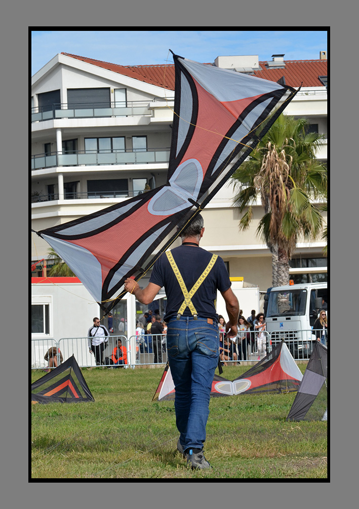 FdV 2017 (173)