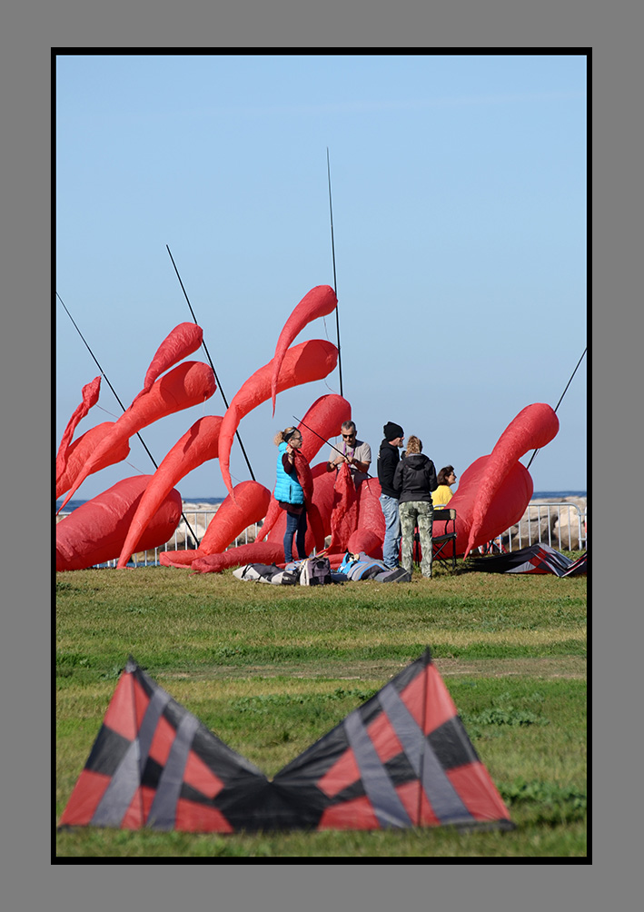 FdV 2017 (239)