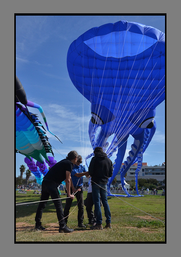 FdV 2017 (106)